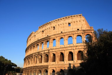 Roma 'da kolezyum