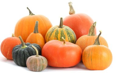 Pumpkins family clipart