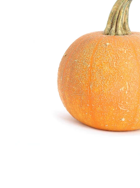 Pumpkin on white — Stock Photo, Image