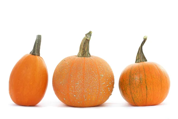 Trois citrouilles isolées — Photo