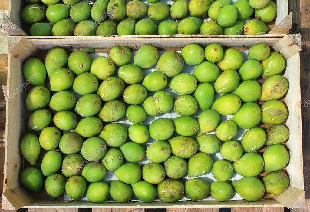 groene vijgen — Stockfoto © Studiobarcelona 51522959