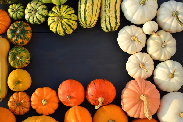 Pumpkins Barevné Odrůdy Hranice Dýně Dýně Černém Dřevěném Pozadí — Stock fotografie