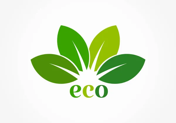 Green Eco Leaves Symbol Icon Design Element Vector Illustration — Stock Vector