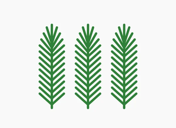 Ramas Abeto Árbol Navidad Aisladas Sobre Fondo Blanco Ilustración Vectorial — Vector de stock