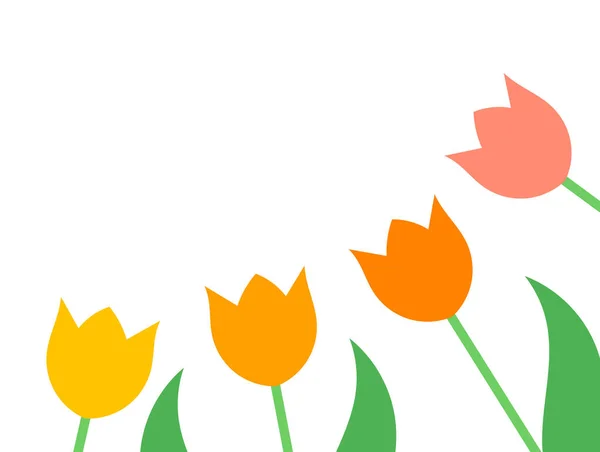 Spring Tulpaner Blommor Platt Design Kort Bakgrund Vektorillustration — Stock vektor