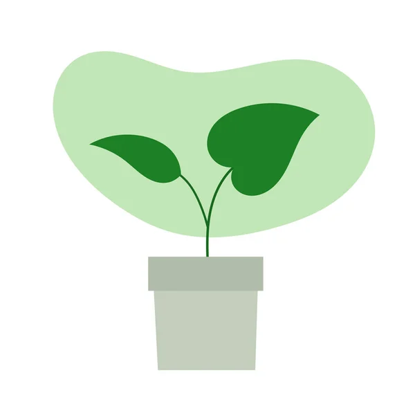 Huis Plant Pot Icoon Vectorillustratie — Stockvector