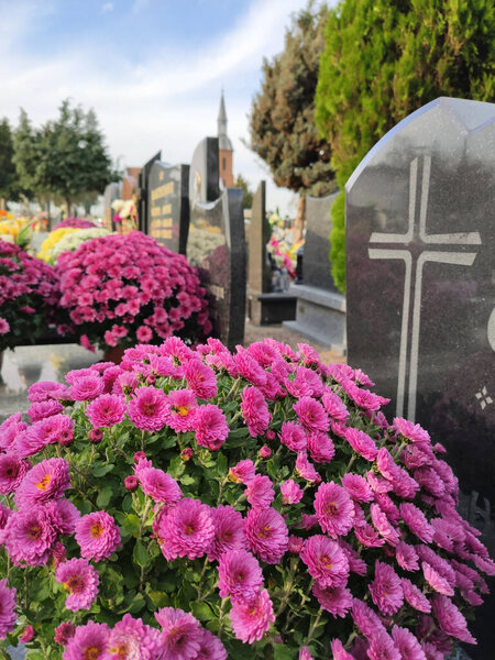 Pink flowers on the grave. All the Saints Day holiday on 1 November in Poland.