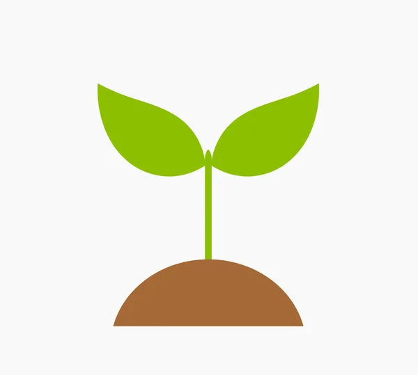 Plantplantsikon Vårgrön Växt Isolerad Vitt Vektorillustration — Stock vektor