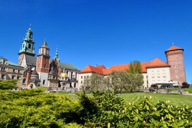 Krakow, Wawel Şatosu ilkbahar zamanı Polonya, Avrupa 'da.