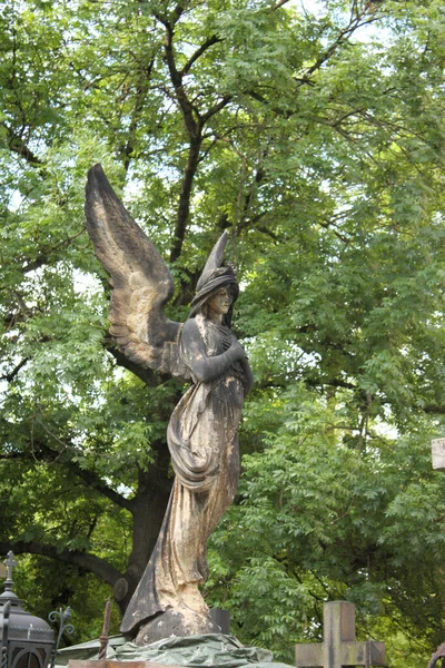 Ängelstaty Vid Kyrkogården Vysehrad Prag Tjeckien — Stockfoto