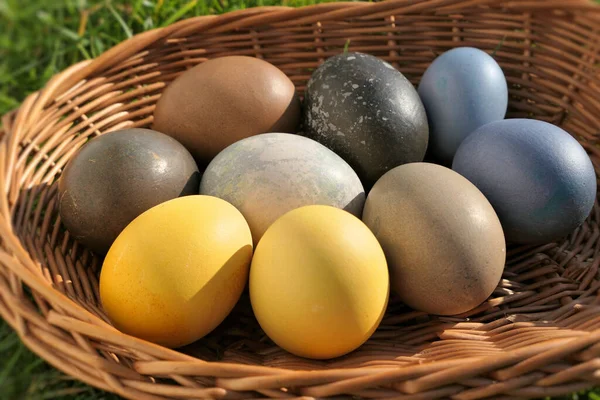 Recogida Huevos Pascua Cesta Huevos Pascua Teñidos Naturales Luz Del —  Fotos de Stock