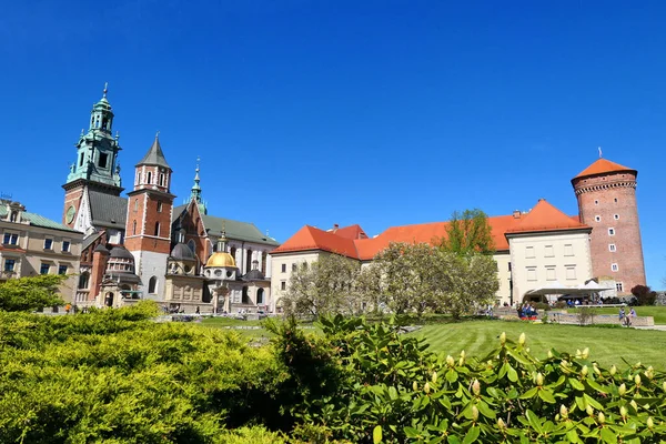 Krakow, Wawel Şatosu ilkbahar zamanı Polonya, Avrupa 'da.