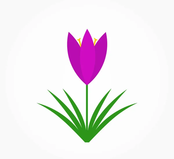 Crocus Bloem Icoon Voorjaar Paarse Bloem Vector Illustratie — Stockvector