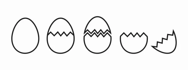 卵孵化裂隙阶段线图标 矢量说明 — 图库矢量图片