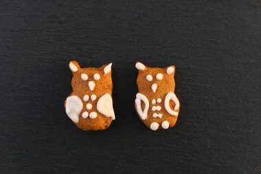 Owls cookies. Two cute gingerbread owls birds on black background.