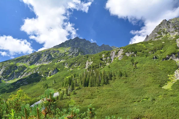 Tatra Dağları Dolina Roztoki 'yi takip ediyor. Polonya 'daki Tatra Ulusal Park Dağları manzarası