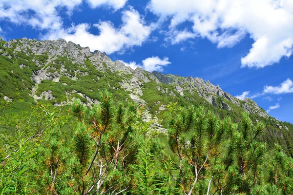 Mountains in Tatra National Park, Dolina Roztoki valley landscape.