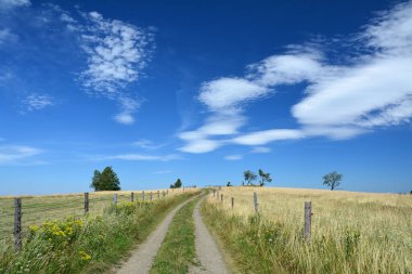 Poland, countryside in the mountains. Idyllic scenic meadow, dirt road and sky summer view. Polish village landscape.