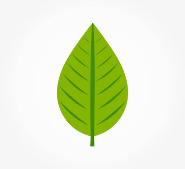 Yeşil yaprak sembolü simgesi. Vektör illüstrasyonu.