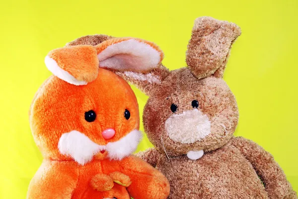 Easter rabbits — Stock Photo, Image