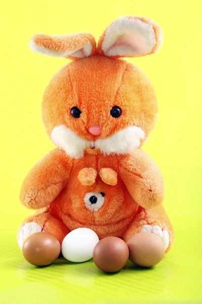 Easter rabbit — Stock Photo, Image