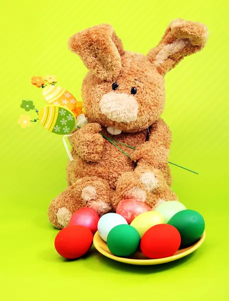 Easter rabbit — Stock Photo, Image