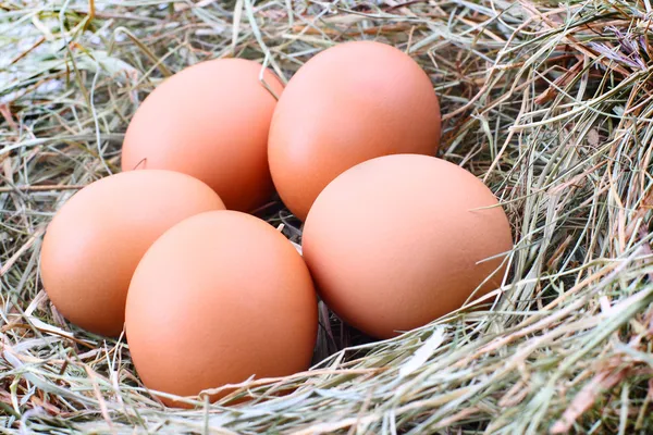 Cinco huevos de pollo en una pajita —  Fotos de Stock