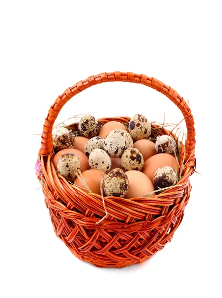 Kwartel gevlekt ei in het stro, close-up — Stockfoto