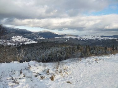 Karla kaplı ağaçlarla kaplı güzel kış manzarası