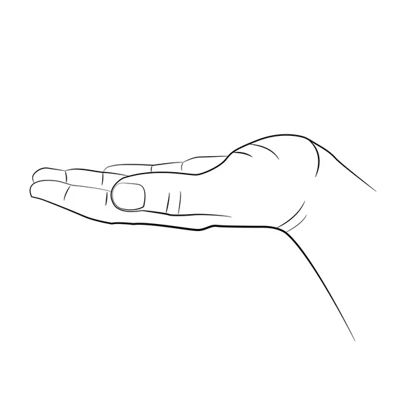 Otevřené muž ruku izolovaných na bílém pozadí — Stockový vektor