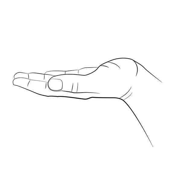 Mano de hombre abierto aislada sobre fondo blanco — Vector de stock