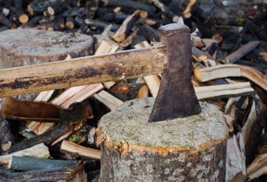 bir günlüğüne axe