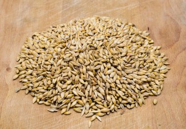 buğday tohumu ahşap oyun tahtası