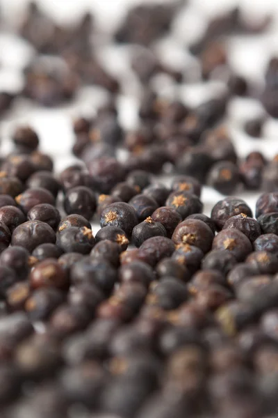 Juniper berries, vertical and selective focus — Stock Photo, Image