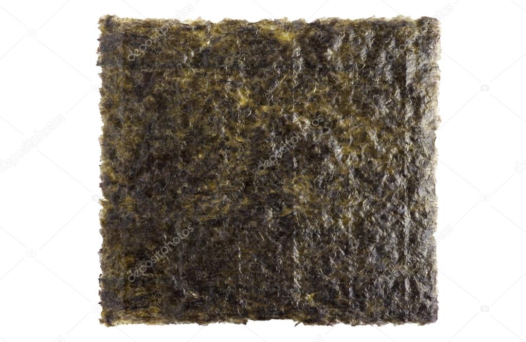 A sheet of dried seaweed close up isolated