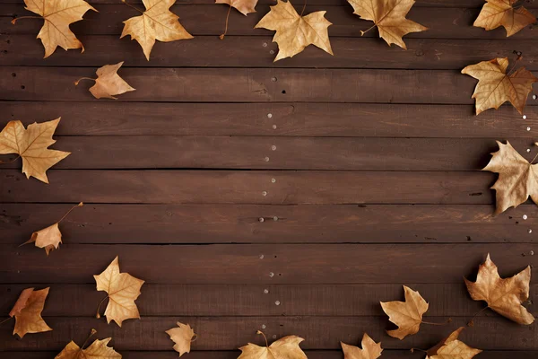 Wood background with leaves — Stock Photo, Image