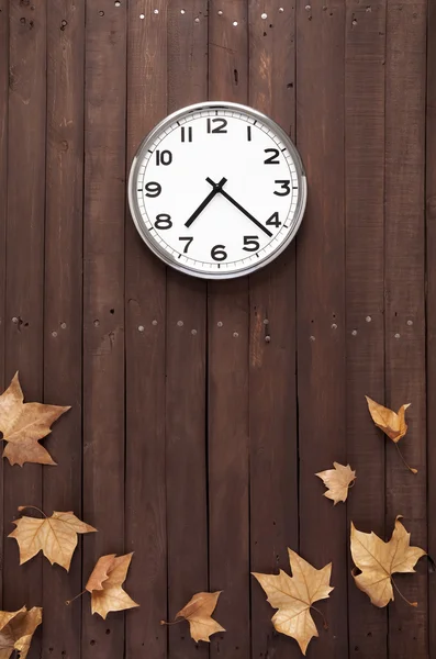 Clock with some leaves around — Stock Photo, Image