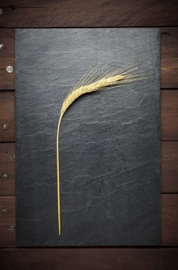 bir buğday kulak kayrak üzerine