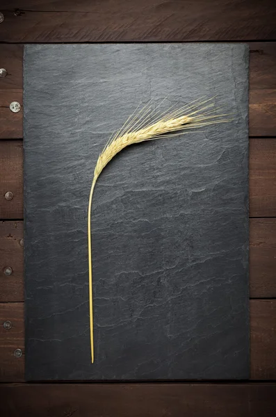 One wheat ear on slate — Stock Photo, Image