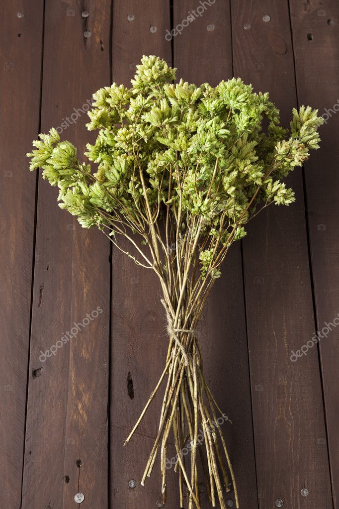 Bunch of dry oregano on wooden table — Stock Photo © sixdun 50536151