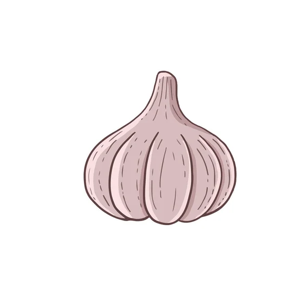 Garlic Spice Vegetable Icon Vector Illustration — 스톡 벡터