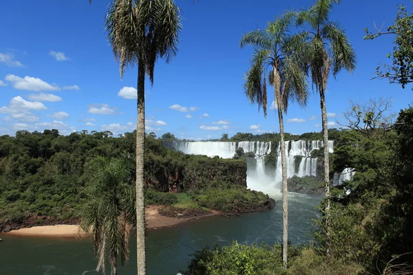 Iguazu Waterfall Argentina — Stock Photo, Image