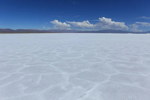Salar de Atacama — Φωτογραφία Αρχείου