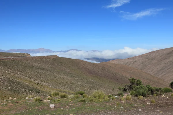 Paisaje de Quebrada — Foto de Stock