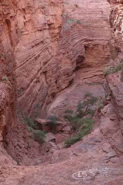 Quebrada landschap — Stockfoto