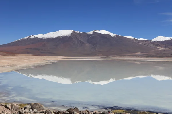 Laguna Verde Bolivia — Stock Photo, Image