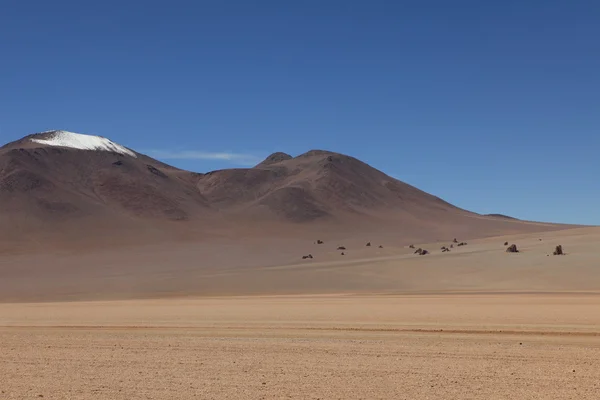 Salvador dali Bolivya'da çöl — Stok fotoğraf