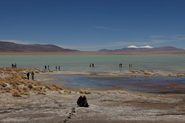 Kaplıcalar Bolivya laguna Verde