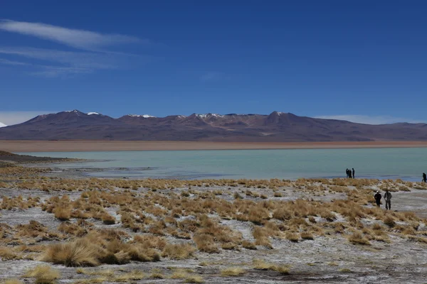 Hot springs w Boliwii laguna verde — Zdjęcie stockowe