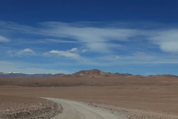 Salvador Dali désert en Bolivie — Photo
